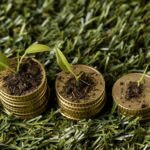 high angle three stacks coins grass with dirt plants